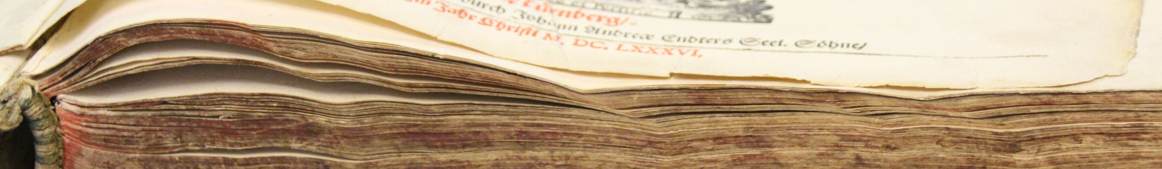 Bibliothek - Seitenansicht alte Bibel